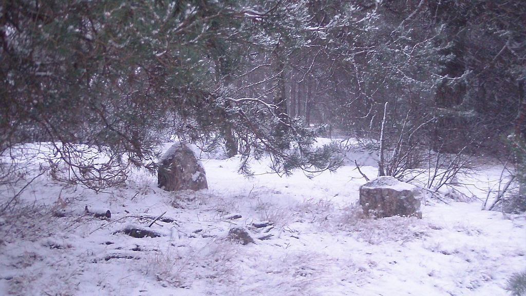 Могилы в деревне Студеники