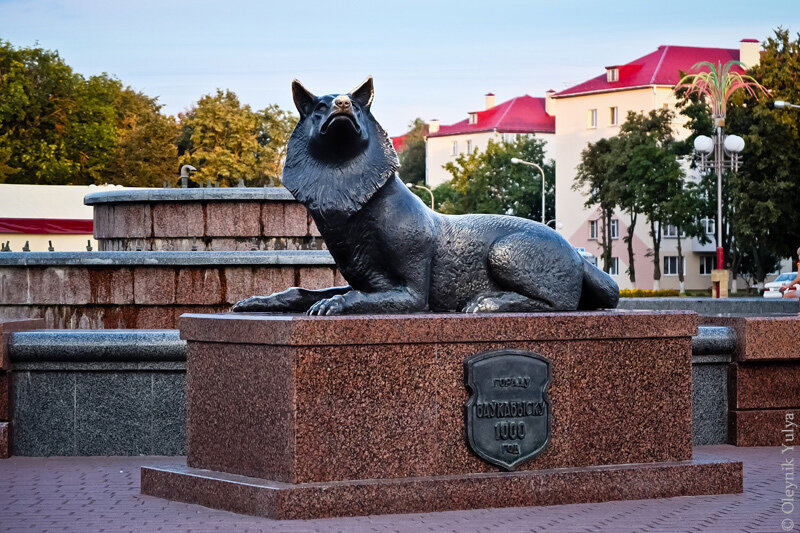 Памятник волку в городе Волковыск